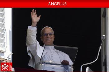  Notícias Católicas